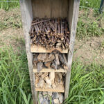 pollinator hotel
